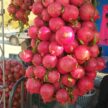 پنجمین جشنواره انار فاروق برگزار شد پنجمین