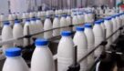 تولید  روزانه ۴۵۰ تن شیرخام در مرودشت